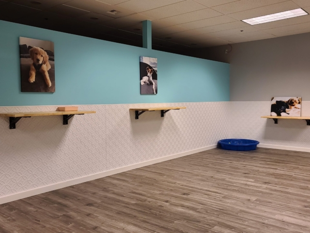 Doggie Daycare - Fasade Wall Panel Rings in Matte White